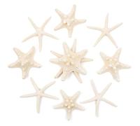 SKOOLOVE 10PCS Starfish 6-10CM Mixed Starfish Natural Sea Shells for Wedding Decor, Beach Theme Party, Home Decorations, DIY Crafts, Fish Tank