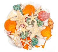 SKOOLOVE 12 Kinds Mixed Beach Seashells 2.5-8CM Various Sizes Natural Seashells Starfish Conch for Beach Themed Party DIY Crafts Fishtank Vase Fillers Home Wedding Decorations