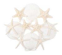 SKOOLOVE 12PCS Mixed Starfish and Scallop Shells 6-10CM Natural Sea Shells for Wedding Decor, Beach Theme Party, Home Decorations, DIY Crafts, Fish Tank