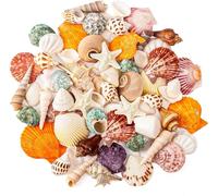SKOOLOVE 15 Kinds Natural Sea Shell Mixed Ocean Shells Set