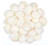 SKOOLOVE 30 PCS Sea Shells 4-5 CM White Small Seashells for Crafting, Crafts DIY Painting Beaching Wedding Decoration, Beach Natural Shells Bulk