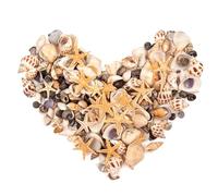 SKOOLOVE 300pcs Mini Starfis and Small Sea Shells Mini Mixed Sea Shells Starfish Natural Seashells for Beach Painting Arts & Crafts Gallery Home DIY (160g)