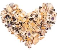 SKOOLOVE 450PCS Small Sea Shells and Mini Starfish Mixed for Crafting