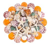 SKOOLOVE Natural Seashells Mixed Ocean Beach Seashells 15 Kinds 2-8 CM Various Sizes Seashell and Starfish for Crafts, Fish Tank, Vase Fillers, Beach Themed Party, Handmade DIY, Home Decorations