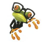 SKS Distribution® 3D Clever Teacher Glasses Frogs Funny Car Stickers car styling vinyl decal sticker decoration High temperature & water Proof