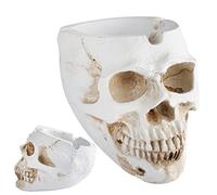 Skull Ashtray,Resin Ash Tray Box for Indoor Or Outdoor Use | Decorative Skulls & Skeletons Figurines As Gothic Halloween Room Decor for Smokers