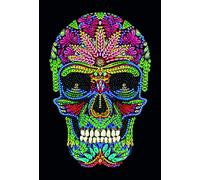 Skull, Crystal Art Notebook