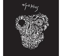 Skull Defects,the (Feat. Daniel Higgs & Zomes) - The Skull Defekts [VINYL]