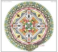 Skull Defekts - Peer Amid