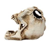 Skull for Head Ornament Skeleton Pen Holder Desktop Pencil Organizer Makeup Stor