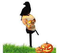Skull Garden Solar Lights Solar Garden Light for Halloween for 6-8 Hours Powered LED Waterproof Crow Skull Lights Ground Plug-in Halloween