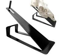 Skull Hanger with European Frame - Deer Skull Display Stand in Polished Black Stainless Steel | Table and Wall Hook for Deer, Antelope, Coyote Specimens, Small An Specimens