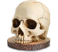 Skull Knife Holder for Kitchen, Skeleton Knife Stand, Horror Kitchen Storage Head Rack Kitchen Fruit Storage Rack Decoration, Scary Party Fruit Storage Rack Decoration, 15CM/5.9IN, Beige