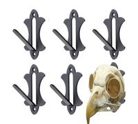 Skull Mount Hanging, Trophy Hook Holder, Heavy Load Holder, Set of 6 Pieces 3.94x2.36x1.97 Inches to Display Small Game Skulls Coyote Mule Deer Antelope
