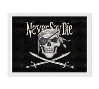 Skull Never Say Die Full Round Drill Diamond Art Kits Accessories Craft Home Wall Decor 12"x16"