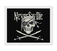 Skull Never Say Die Full Round Drill Diamond Art Kits Accessories Craft Home Wall Decor 16"x20"