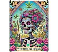 Skull Stamped Cross Stitch Kits - Female Skeleton Counted Cross Stitch Kits for Beginners Adults Needlepoint Cross-Stitch Patterns Dimensions Needlecrafts Embroidery Kits Arts and Crafts 12x16 inch