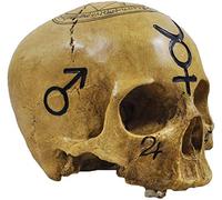 Skull Witchcraft Skull Decorative Figurine
