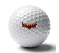 Skull with Wings Fire Professional Standard Golf Balls Double-sided Printing Performance Ball Gift for Boyfriend Husband Father