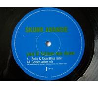 SKUNK ANANSIE You'll Follow Me Down 12" promo