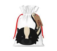 Skunk Gift Bag with Handles and tag, Holiday Decoration, for Christmas, Birthday, Wedding - (M)