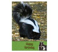 Skunk Wild Animal Birthday Card