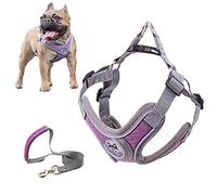 SKXEO Dog Harness Small Dog No Pull Harness and Lead Set Adjustable Breathable Reflective Lightweight Pet Vest Harness Escape Proof Dog Harness Easy Control for Outdoor Walking Training