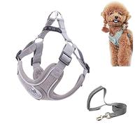 SKXEO Dog Harness Small Dog No Pull Harness and Lead Set Adjustable Breathable Reflective Lightweight Pet Vest Harness Escape Proof Dog Harness Easy Control for Outdoor Walking Training