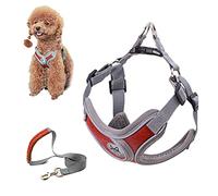 SKXEO Dog Harness Small Dog No Pull Harness and Lead Set Adjustable Breathable Reflective Lightweight Pet Vest Harness Escape Proof Dog Harness Easy Control for Outdoor Walking Training
