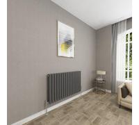 Sky bathroom | 600x1003mm - Modern Anthracite Horizontal Double Panel Oval Column Radiator Central Heating Designer Radiator