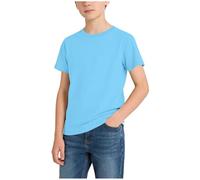 Sky Blue Kids Cotton Plain T-Shirt Boys & Girls Short Sleeve T Shirts Basic Round Neck School Tee Tops Soft Feel Lightweight Classic Casual Top Sports Fitness Running Daily Wear 12-13 Years