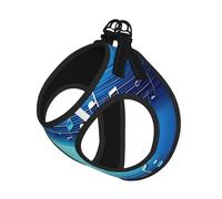 Sky Blue Musical Notes Print Dog Harness and Leash Set,Breathable Adjustable Escape Proof Vest for Dogs, Cats