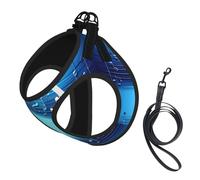 Sky blue musical notes printing Puppy Harness, Dog Harness and Leash Set, Soft Mesh Reflective Breathable Lightweight Vest-Style