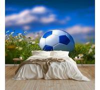 Sky Blue Non-Woven Photo Wallpaper Mural 400 x 280 cm Sports Football Grass Photo Wallpaper - Bedroom Wall Art Decoration, Eco-Friendly Mural for Living Room Kids Bedroom