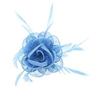 Sky Blue Rose Net Fascinator with Feathers on Clip & Brooch Pin
