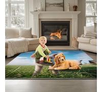 Sky Blue Washable Area Rug for Living Room 120 x 180 cm, Animals Pigs On The Grass Soft Touch Short Pile Style Carpet Area Rugs Non Shedding Short Pile Floor Carpet for Bedroom Dining Room
