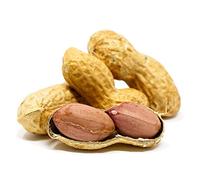 Sky Ecommerce Crazy Nuts | USA Grown Whole in Shell Raw Peanuts for Birds and Squirrels, 10lb | Whole in Shell Peanuts for Birds, Animal Peanuts in The Shell, Bird Peanuts in Shell Unsalted Wildlife