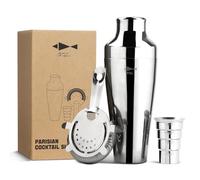 SKY FISH® 500ml Parisian Style Cocktail Shaker Set - The Ultimate Gift for Bartenders & Cocktail Aficionados, Silver