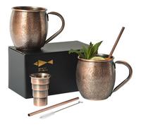 SKY FISH Moscow Mule Mugs, 3D Embossed Cocktail Glasses Set of 2, 500ml Stainless Steel Wine Cups, Drinking Gifts for Him, Handwash, Vintage Copper