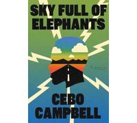 Sky Full of Elephants : A Novel