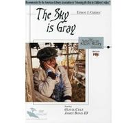 Sky Is Gray: American Short Story Collection [DVD] [Region 1] [US Import] [NTSC]