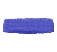 (Sky) Precision Training Multi-Sport Headstrap Sweat Absorbing Multi-Colours Headbands (UK2020)