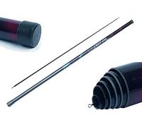 Skyblueleisure 3m Telescopic Pole with Ground Spike ideal for flags,windsocks, camping and festivals