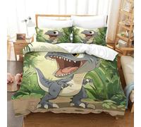 SkyClouf Dinosaur Three-dimensional Printing Bedding Bedding Ensemble Dinosaur Duvet Cover Ultra-fine Fiber Encased with Zipper Gentle And Washable Double（200x200cm）