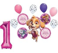 Skye and Everest 1st Birthday Party Supplies Girl Paw Pups on Patrol Balloon Bouquet Decorations 12ct