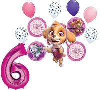 Skye and Everest 6th Birthday Party Supplies Girl Paw Pups on Patrol Balloon Bouquet Decorations 12ct
