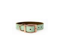 Skye & Murphy Luxury Padded Leather Dog Collar