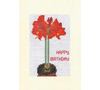 Skye Stitching & Photos Red Potted Amaryllis, Happy Birthday - 14 Count Cross Stitch A5 Card Kit (Ivory Linen Card)