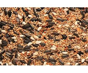 SKYGOLD Cockatiel & Parakeet 4x3kg Cage and Aviary Food