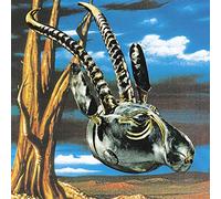 Skygreen Leopards - Jehovah Surrender